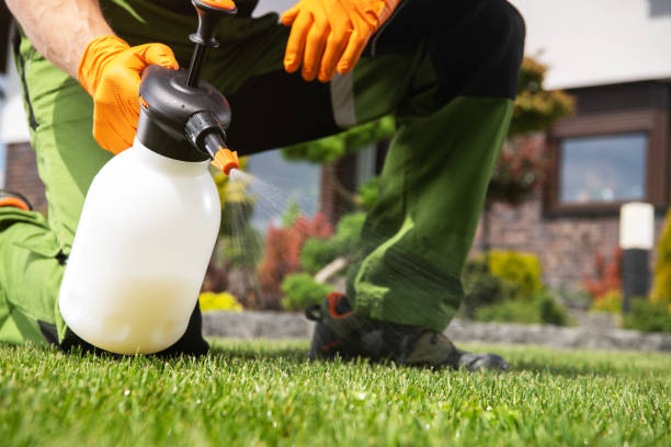 Best Commercial Pest Control Services  in Wamego, KS