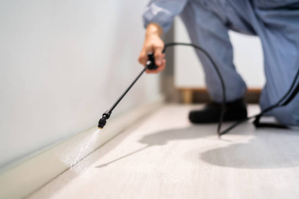 Best Pest Removal Services  in Wamego, KS