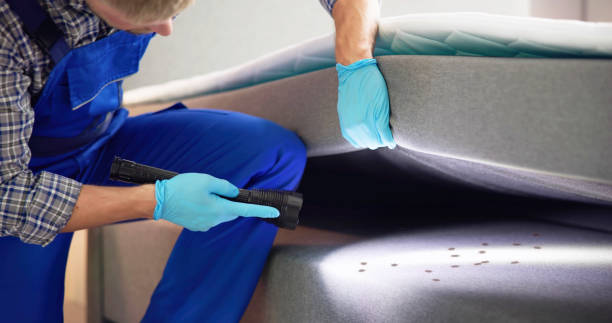 Best Affordable Pest Control Services  in Wamego, KS