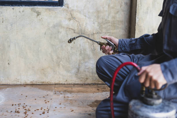 Best Emergency Pest Control  in Wamego, KS